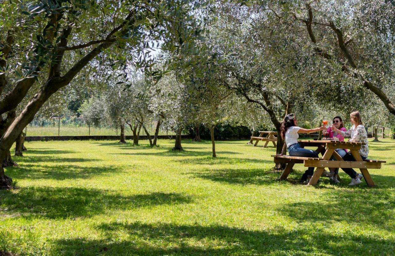 Agriturismo Ca Del Lago Gravedona Bagian luar foto