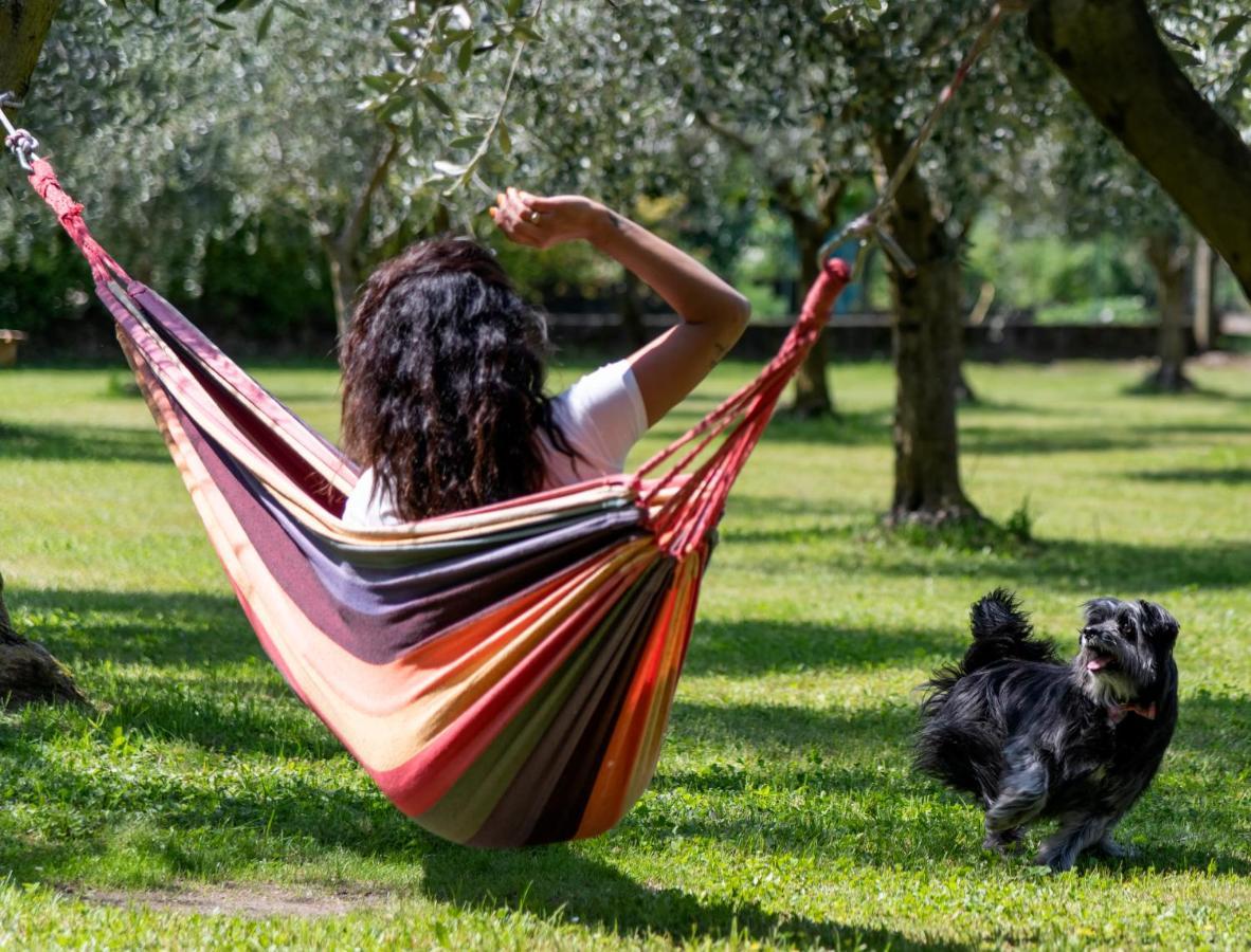 Agriturismo Ca Del Lago Gravedona Bagian luar foto
